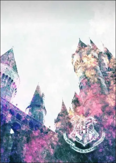 Qui est l'esprit frappeur de Poudlard ?