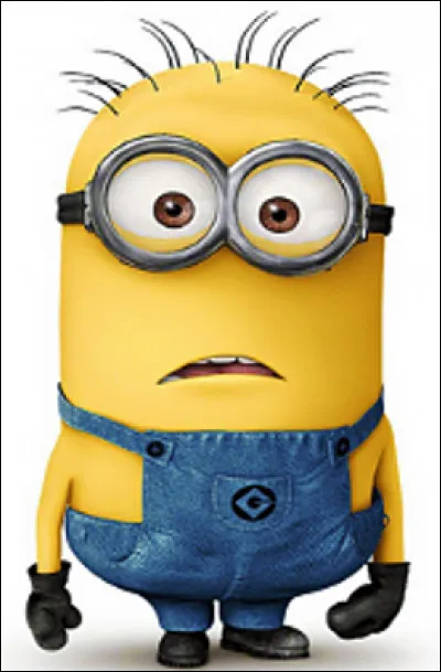 "Chdé nié" veut dire :