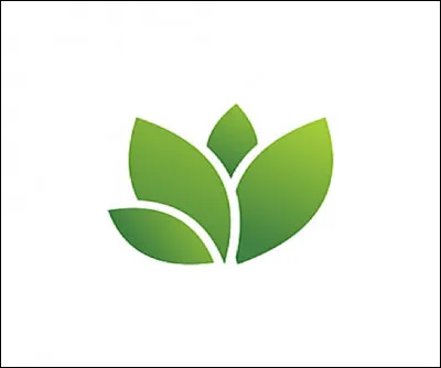 Quel arbuste est le symbole de Noël aujourd'hui ?