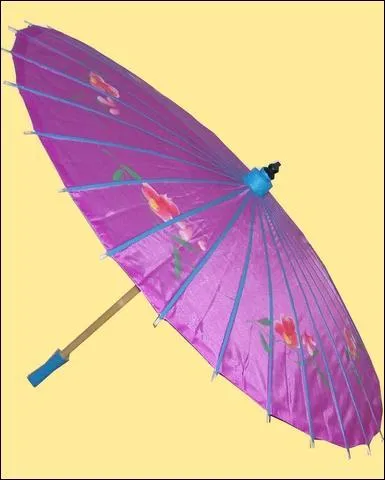 L'ombrelle dsigne aussi...