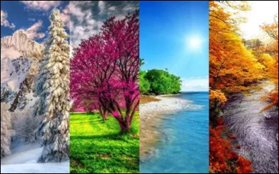 Quelle saison aimes-tu le plus ?