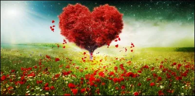 Quaimes-tu faire le plus ?