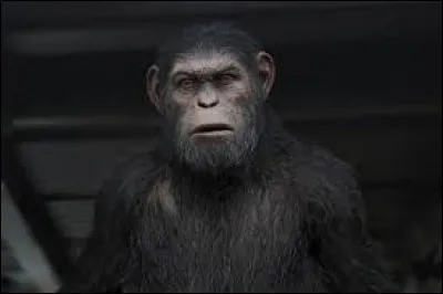 Qui a &eacute;crit "La Plan&egrave;te des singes" ?