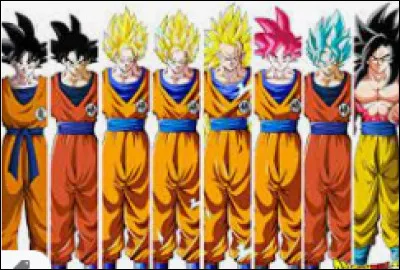 Quelle est ta transformation préférée ?