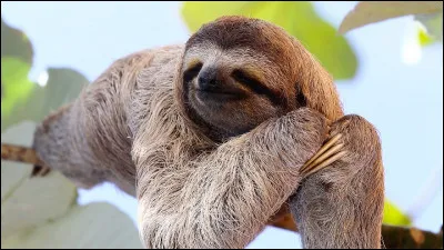 En cours, comment es-tu ?