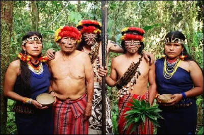 Les têtes réduites ou tsantzas sont des objets rituels jadis réalisés à partir de têtes humaines par des tribus telles que les Shuars. Dans quel pays d'Amérique du Sud vivent-ils majoritairement aujourd'hui ?