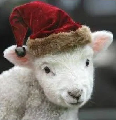 Dans quel livre d'Antoine de Saint-Exupéry peut-on entendre « Dessine-moi un mouton » ?