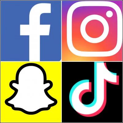 Sur quel réseau social est-elle le plus active ?