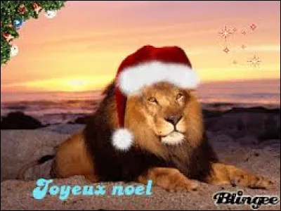 Dans le "Roi lion", comment s'appelle l'oiseau ?