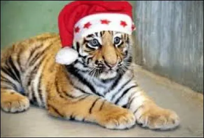 Quel homme était surnommé "Le Tigre" ?