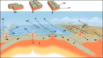 Je suis une chaîne de volcans sous-marine. Je suis aussi une zone de divergence entre plusieurs plaques tectoniques. Qui suis-je ?
