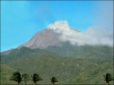 Je suis une éruption dont le magma, en remontant la cheminée volcanique, croise alors une couche d'eau liquide. L'eau va alors se vaporiser et jaillir de mon cratère. Qui suis-je ?