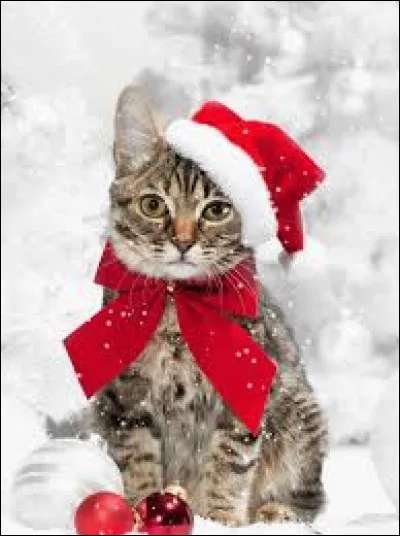 Quel est le nom du cadre destiné à maintenir en place des planches, des vitres, du tissu, du papier ?