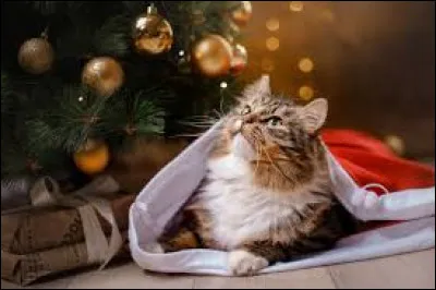 Comment appelle-t-on la position des skis servant à freiner ?