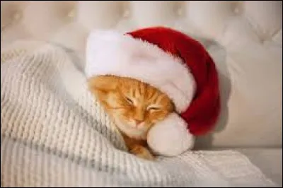 Retrouvez le nom de cette ville, connue pour sa cathédrale Notre-Dame.