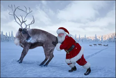 Pas toujours facile les animaux... Comment s'appelle le renne dans "La Reine des neiges" ?