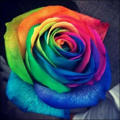 Quel style de couleurs est ton favori ?