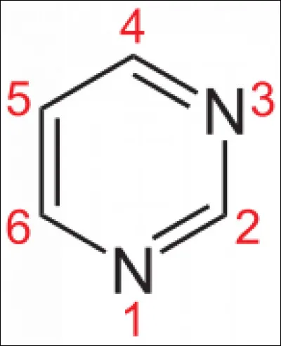 L'image correspond à...