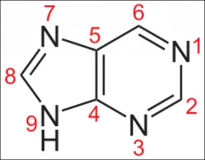 L'image correspond à...