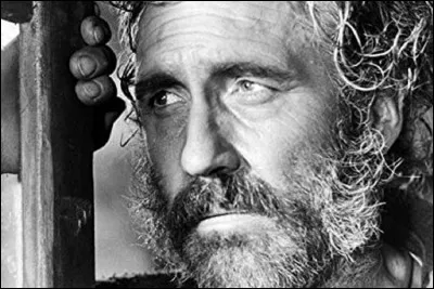 Qui est cet acteur qui tient le rôle principal dans le film ''L'Ami retrouvé'', librement adapté du récit homonyme de Fred Uhlman ?