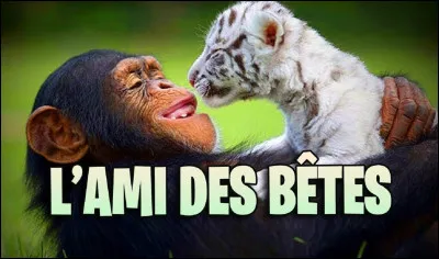 ''L'Ami des bêtes'' est une série télévisée allemande qui a été diffusée à partir de 1989 sur quelle chaine qui avait pour slogan ''La petite chaîne qui monte'' ?