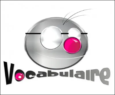 Comment appelle-t-on des mots appartenant à deux langues différentes et qui ont entre eux une grande similitude de forme mais dont les significations sont différentes ?