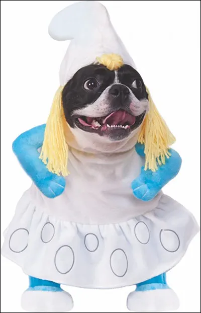 La couturière s'amuse ! Pour qui est ce costume ?