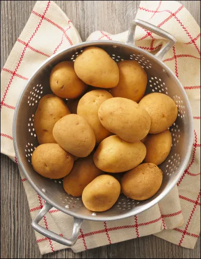 Que dit souvent Naruto dans ses phrases ?