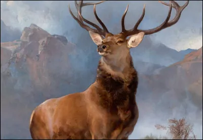 Citez-moi des cervidés. Gare aux intrus !