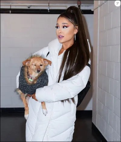 Quand est né son chien Toulouse ?