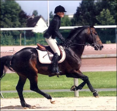 Quel est le nom de la position du cavalier sur la photo ?