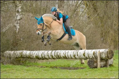 Quel est le nom de cette discipline ?