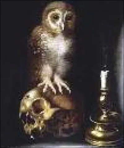 Qui parle de parlement de hiboux, de plante carnivore, d'insomnies et d'île de la mort ?