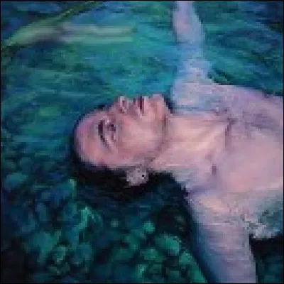 C'est la pochette de quel album ?