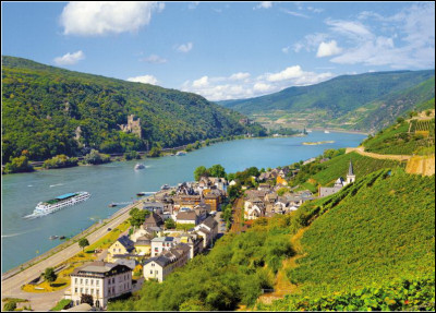 Question de bienvenue : quel est le nom du fleuve qui borde l'Alsace et qui se partage entre la France et l'Allemagne ?