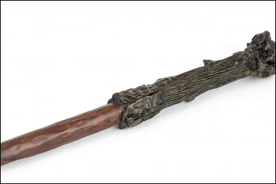 Quel est ton cours préféré ?