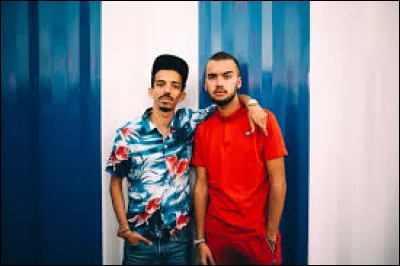 Que chantent Bigflo et Oli ?