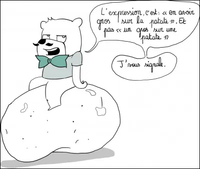 Que veut dire l'expression "J'en ai gros sur la patate" ?