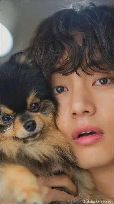 Comment s'appelle le chien de Taehyung ?