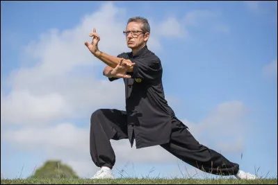 Quel style de combat préfères-tu ?