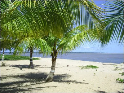 Quel est le chef-lieu de la Guyane ?