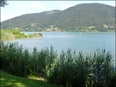 Quel animateur de t&eacute;l&eacute;vision a pr&eacute;sent&eacute; principalement les huit premi&egrave;res saisons de l'&eacute;mission de t&eacute;l&eacute;-r&eacute;alit&eacute; "Secret Story" ?