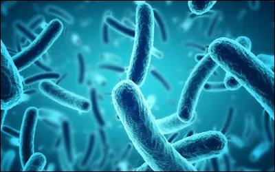 Il y a combien d'années environ la vie est-elle apparue sur Terre ?