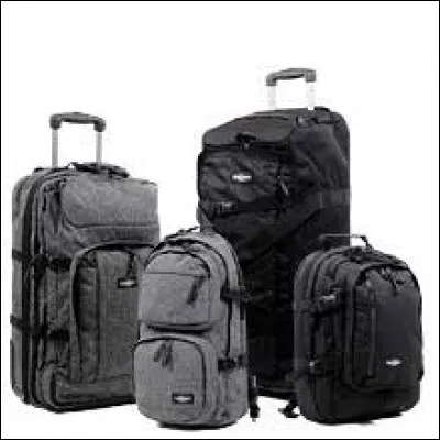 Pour partir en vacances, tu préfères remplir :