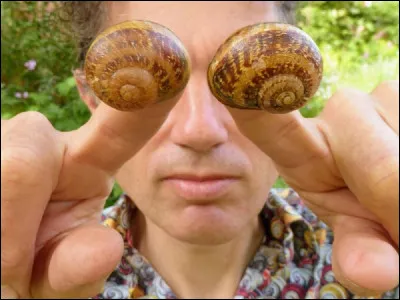 Où se trouvent les yeux des escargots ?