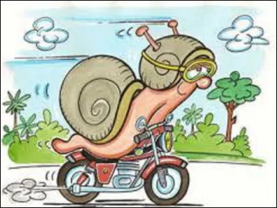 Comment un escargot se déplace-t-il ?