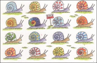 Quel est le plus gros escargot terrestre de France métropolitaine ?