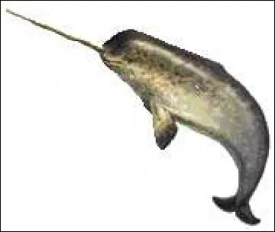 Sous quel nom est plus connu Gérard Labrunie ?