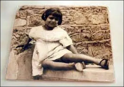 Un homme des sables - Des plaines sans arbres ...