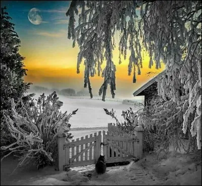 À quel écrivain doit-on le recueil "Le Chaud et le Froid" ?